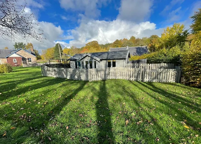 Daisy Cabin