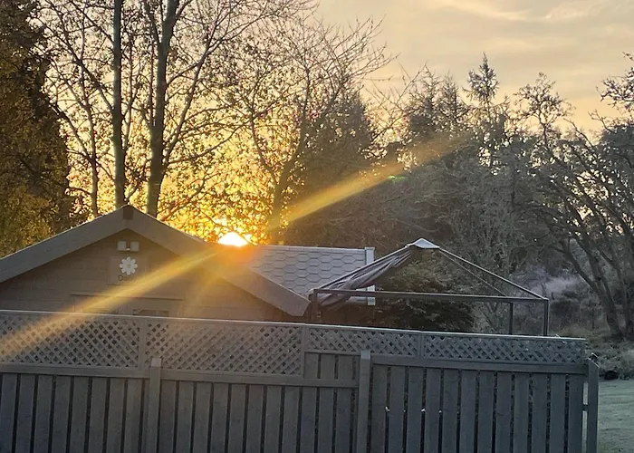 Daisy Cabin